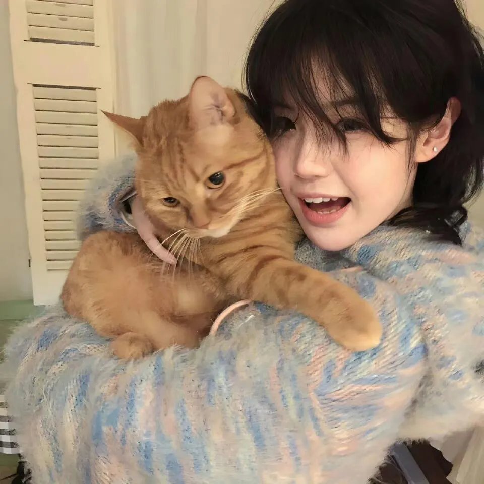 虹猫蓝兔七侠传